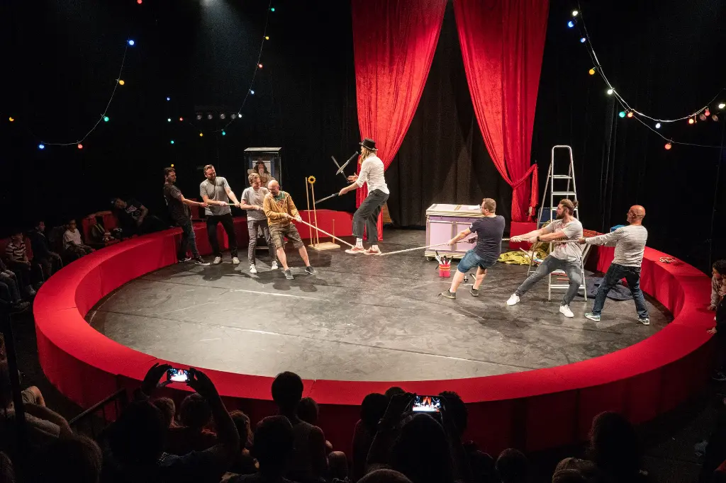 Onvoorspelbare Circus Show - DroombOhm VZW.webp