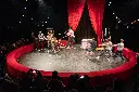 Onvoorspelbare Circus Show - DroombOhm VZW.webp
